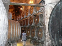 f0036481_1636482.jpg