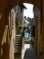 f0036481_16373016.jpg