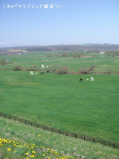 b0000885_9151327.jpg