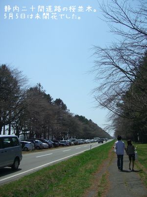b0000885_953171.jpg