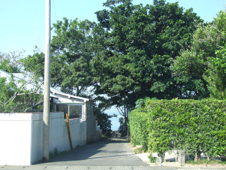 e0028387_10525991.jpg