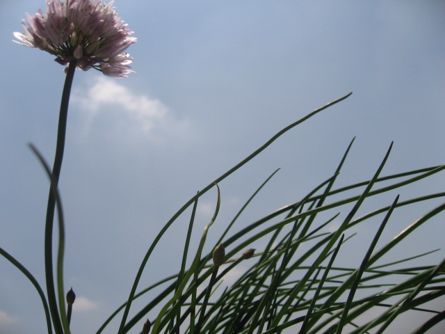f0129187_1324119.jpg