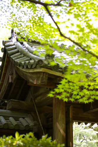 b0080789_0385232.jpg