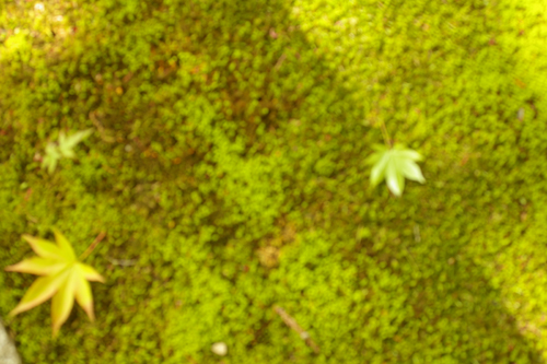 b0080789_0434150.jpg