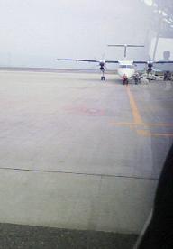 b0100489_2254556.jpg