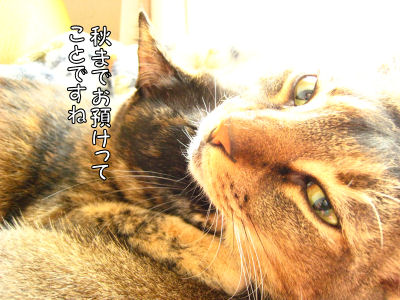 a0045990_1422320.jpg