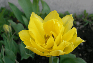 b0032694_8475470.gif