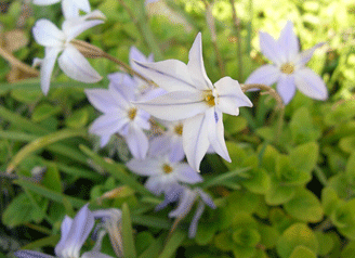 b0032694_8484546.gif