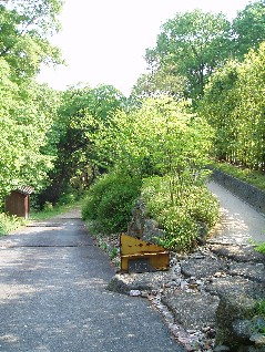 c0076496_2285421.jpg