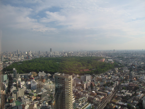 d0056197_05365.jpg