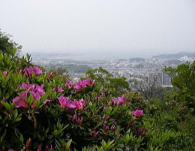 c0008598_13374471.jpg