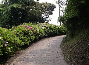 c0008598_1339763.jpg