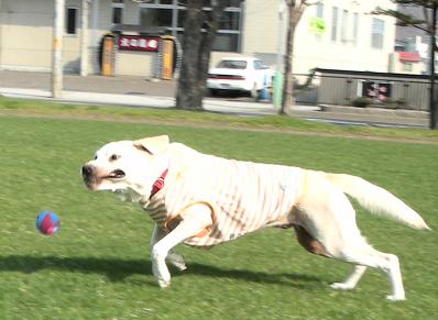a0039299_0135733.jpg