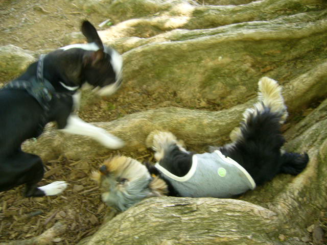 d0070702_0105411.jpg