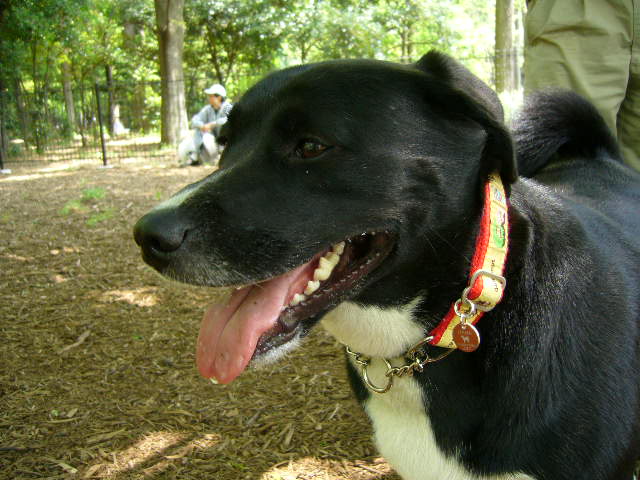 d0070702_011234.jpg