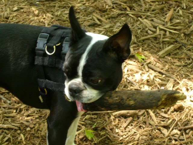 d0070702_013029.jpg