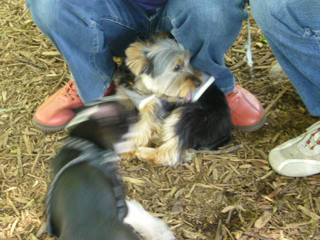 d0070702_0134322.jpg
