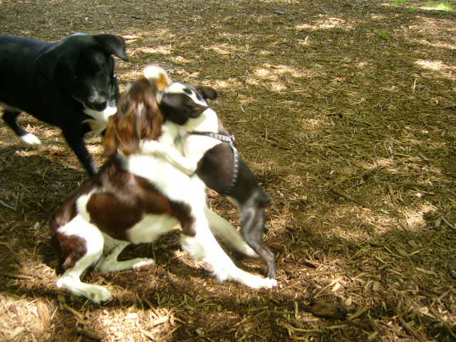 d0070702_0163317.jpg