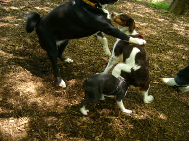 d0070702_019237.jpg