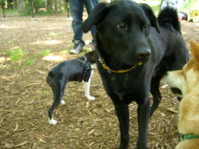 d0070702_05187.jpg