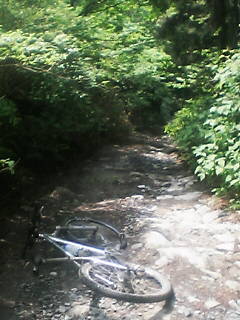 f0105504_22281021.jpg