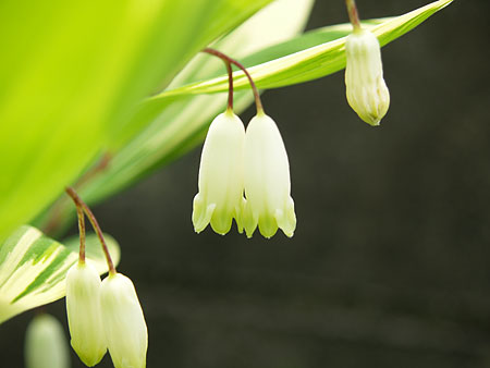 a0041508_0101851.jpg