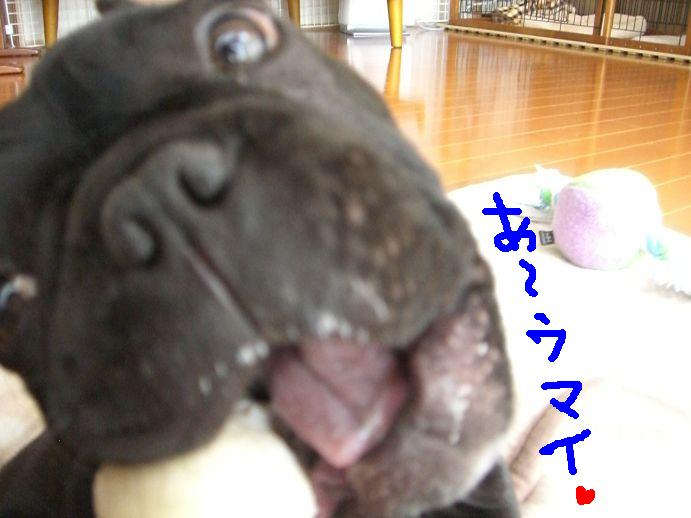 c0113109_0125777.jpg