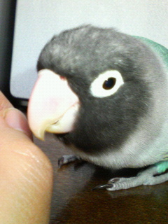 f0126418_16143872.jpg