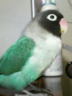 f0126418_16213984.jpg