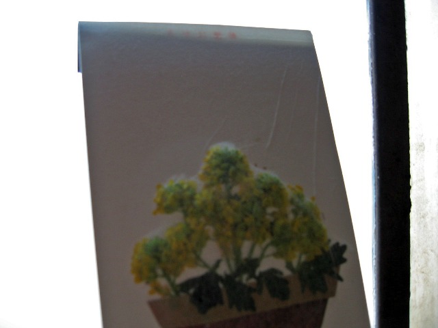 c0115922_2146132.jpg