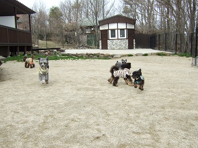 d0023323_22472332.jpg