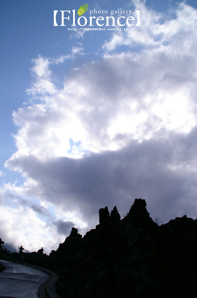 d0102524_191391.jpg