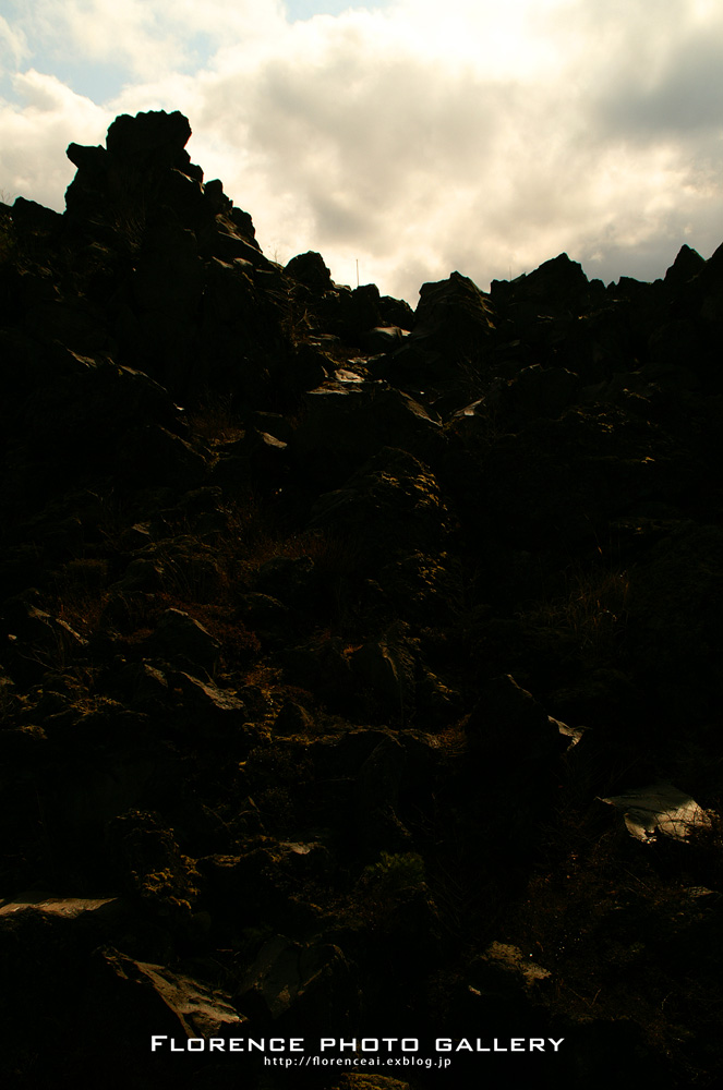 d0102524_19331969.jpg