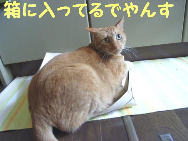 d0081025_2003221.jpg