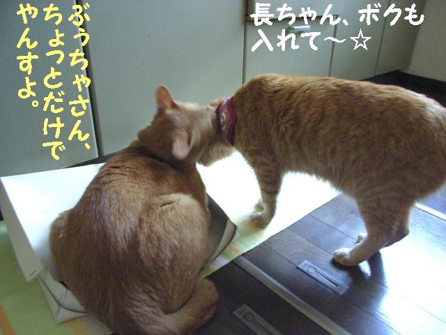 d0081025_2031919.jpg