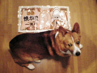 c0020526_20334271.jpg
