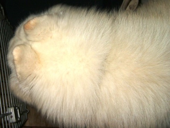 e0024126_2275970.jpg
