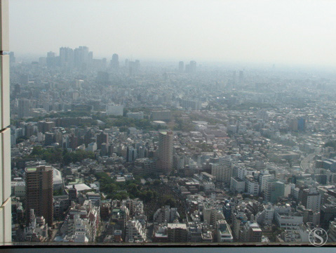 e0021328_23241674.jpg