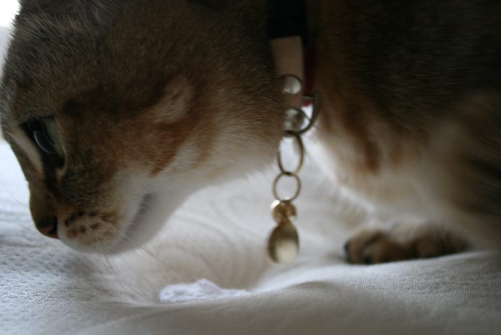 f0055228_18265477.jpg