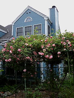 c0110930_2332275.jpg