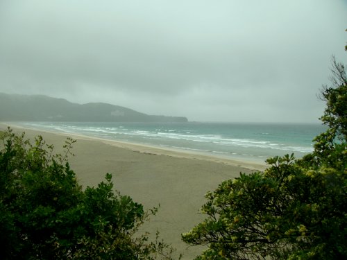 d0018131_4593893.jpg