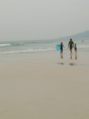 d0018131_51411.jpg