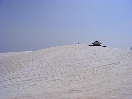 f0118332_003622.jpg