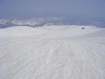 f0118332_024669.jpg