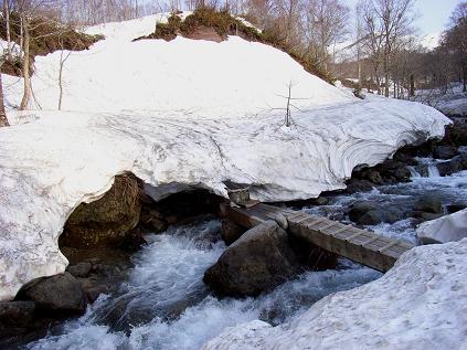f0118332_0303836.jpg