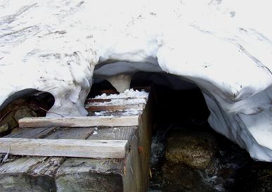 f0118332_030489.jpg
