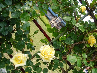 f0002833_20135488.jpg