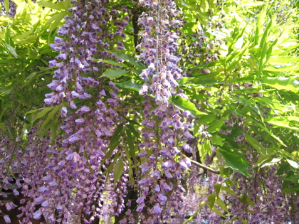 d0085939_22355171.jpg