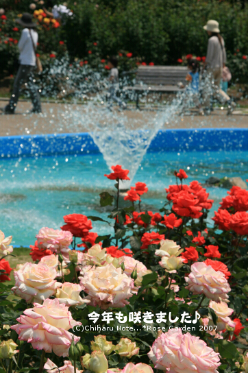 c0046340_22551557.jpg