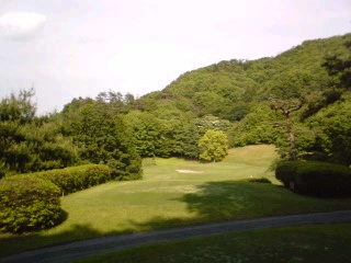f0065341_1301065.jpg